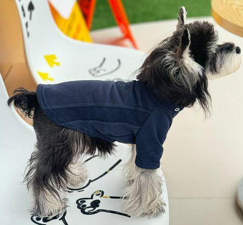 子犬のフェイクレイヤー感フーディ（M）