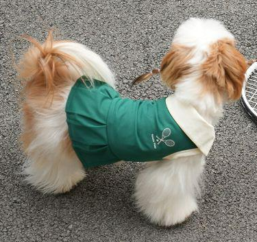 犬用テニススポーツワンピース（M サイズ）