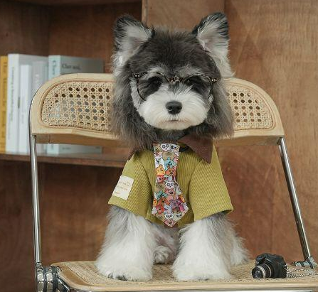 香港風ネクタイ灯芯犬用外服（ダークグリーン M サイズ）
