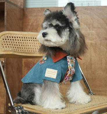 香港風ネクタイ灯芯犬用外服（ブルーブルー Ｌサイズ）