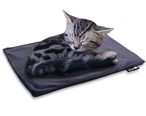 ペキュート Pecute ペット用ホットカーペット 角型 Sサイズ 40×32cm カバー2枚付き 猫用 小動物用 一年メーカー保証