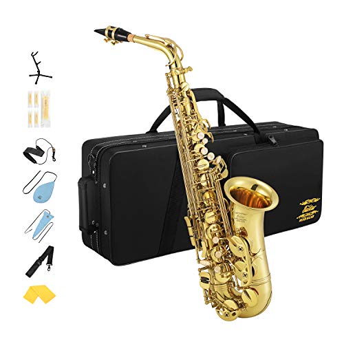 Eastar アルトサックス E Saxophone ゴールドラッカー サクソフォン ケース付き お手入れセット クリスマス(演奏用) AS-Ⅲ