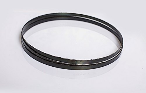 AYAO帯鋸刃 1400mm X 6.5mm X12TPI, •２本/セット compatible with 高儀Takagi RBS-195A