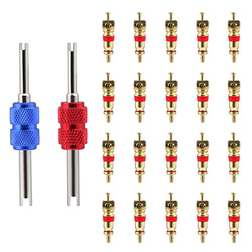 LIHAO タイヤバルブコア エアバルブ 銅製 20個入り 虫回しドライバー2本付き バルブコアの取り付け・取り外しに