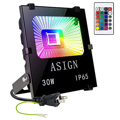 LED投光器 RGB 30W フラッドライト 16色 4モード ガーデンライト リモコン付き 防水仕様IP65 (ホリデー照明ライト、風景ランプ、ステージランプ)