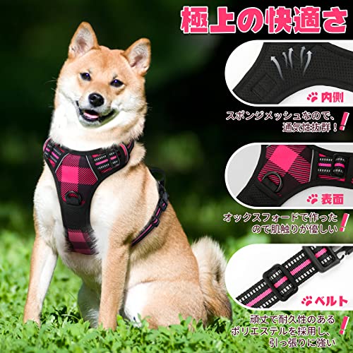 中型犬 ストア 20kg首輪 サイズ